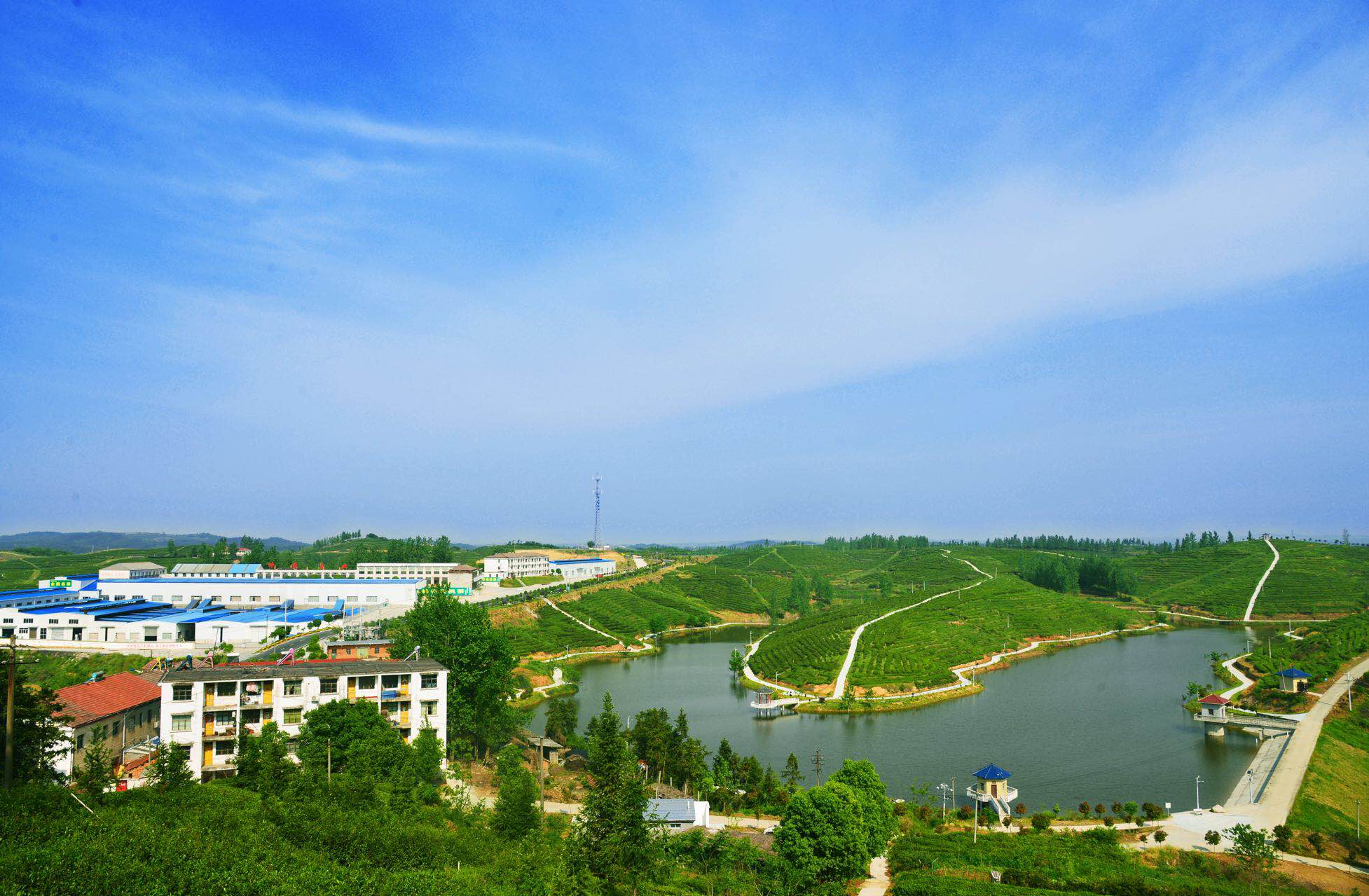 QQ圖片20170920161412.jpg QQ圖片20170920161412.jpg